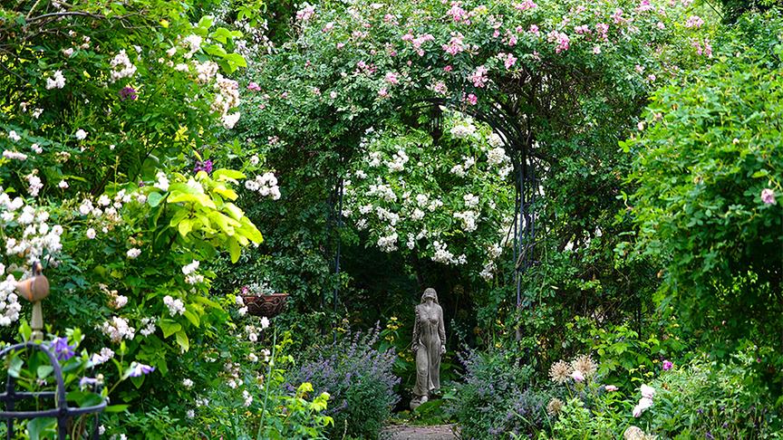 © Leopold Mayrhofer Martina und Haimo Ungersböck zeigen ihren bereits im Frühsommer besuchten besonderen Garten in Mistelbach im niederösterreichischen Weinviertel.