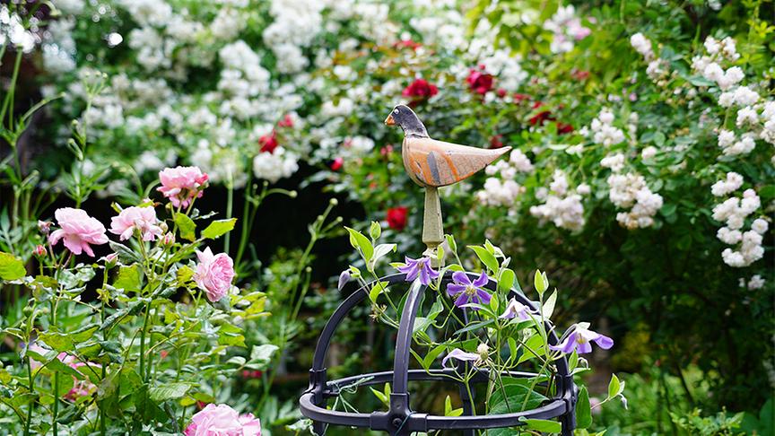 © Leopold Mayrhofer Martina und Haimo Ungersböck zeigen ihren bereits im Frühsommer besuchten besonderen Garten in Mistelbach im niederösterreichischen Weinviertel.