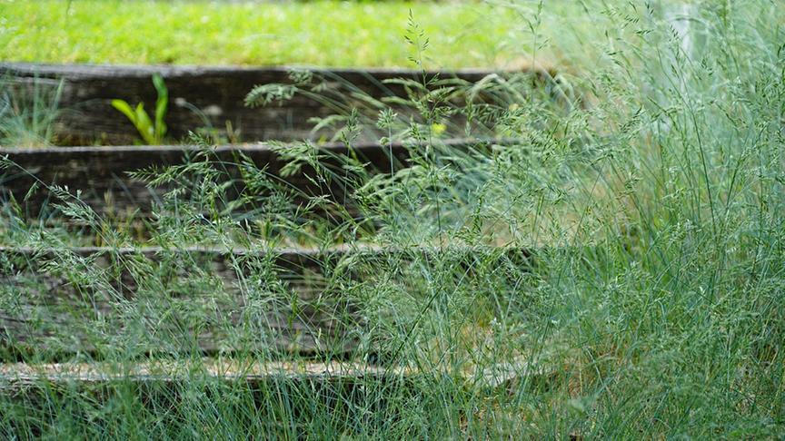 Ein perfekter Ort, um zu entspannen.