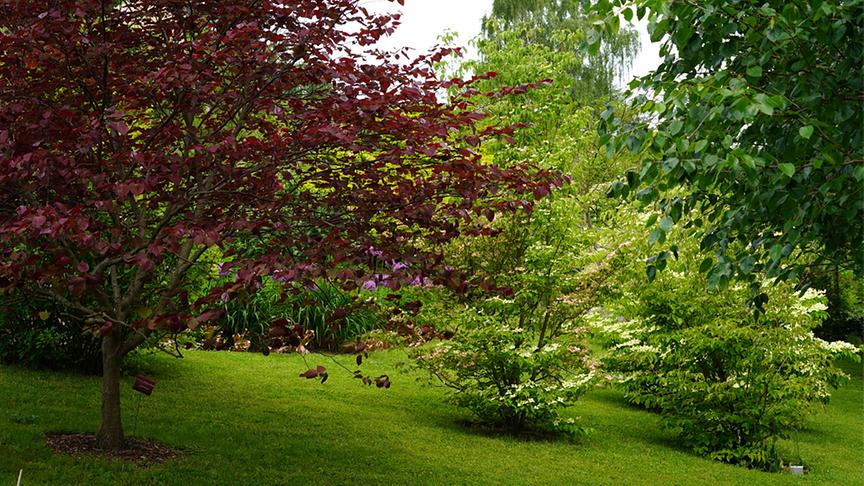 Die vielen Bäume vollenden das Bild einer wohl makellosen Gartenanlage.