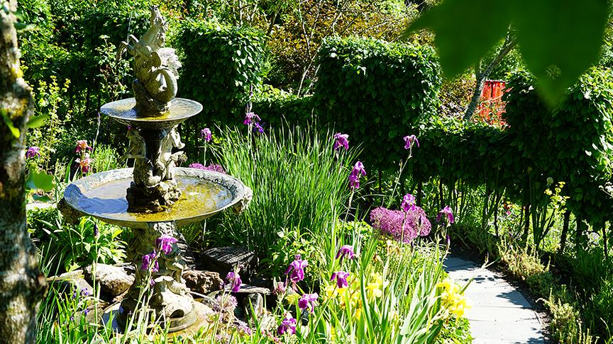 Aber auch kleine Wasseranlagen sind hier zu finden.