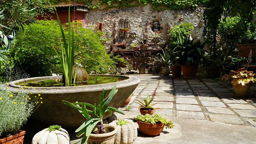 Zahlreiche Eisendeko und kleine Topfpflanzen zeugen von Michaela Aigners Auge fürs Detail.