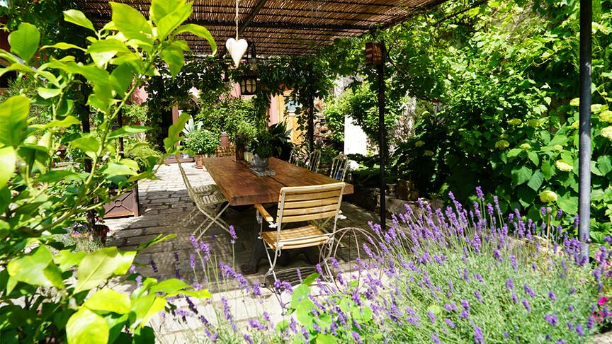 Auch bei der überdachten Sitzgelegenheit wächst die lila Zierpflanze.