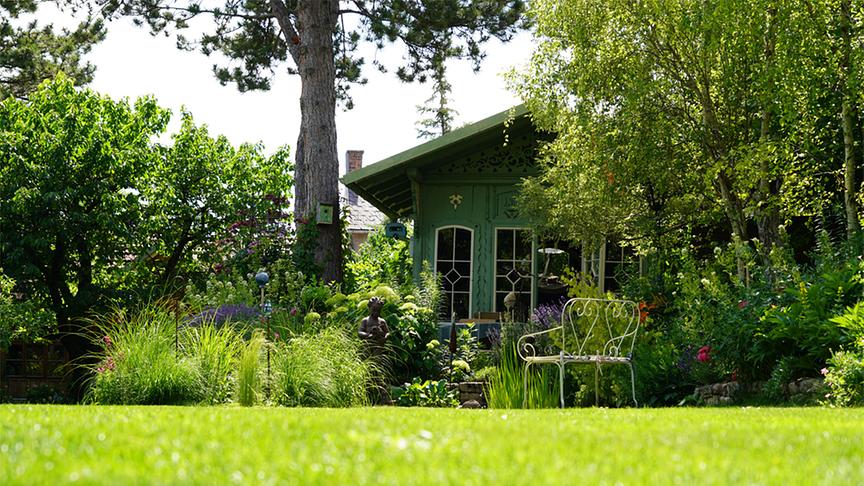 "Nachbars Grün" zeigt in dieser Folge den romantischen Garten von Michaela Aigner in Niederösterreich.