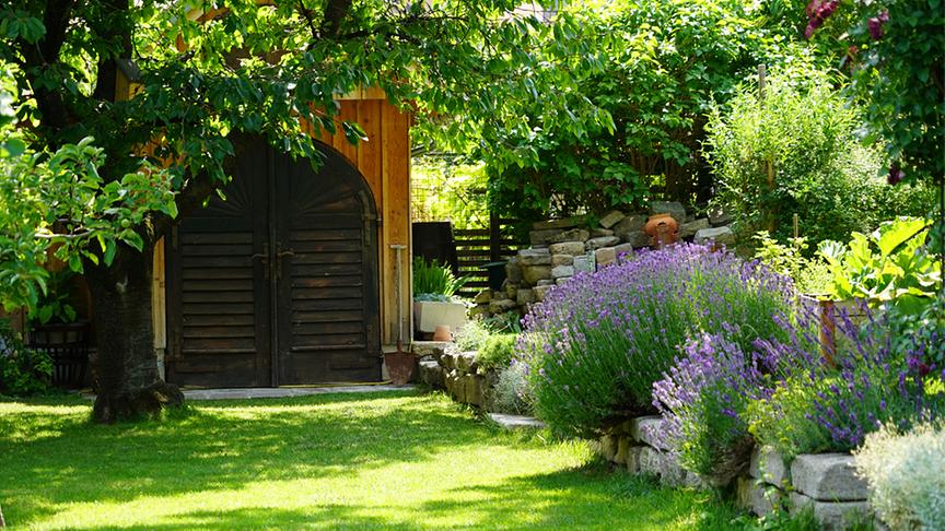 Neben diesem hölzernen Tor finden sich Lavendelbüsche.