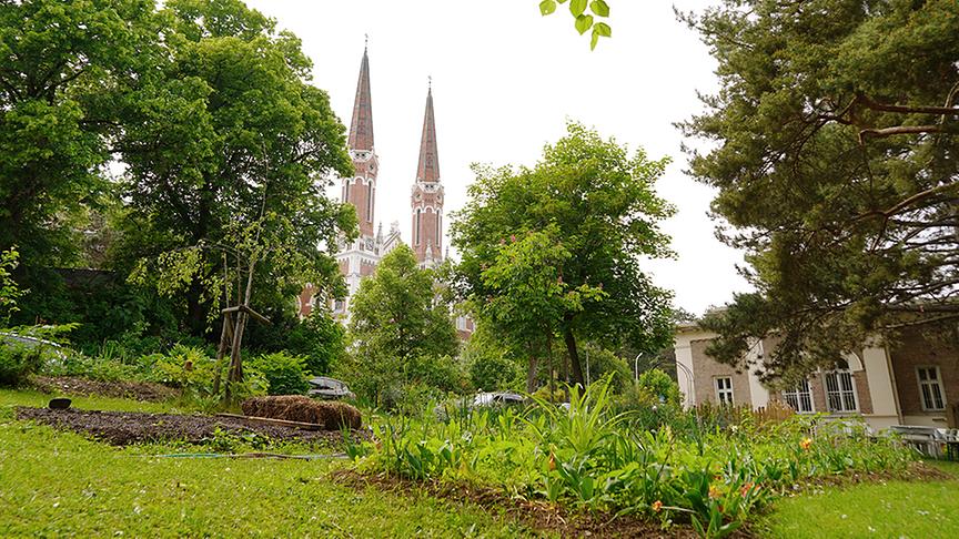 Karl erhält Einblick in den Therapiegarten des Krankenhaus Hietzing