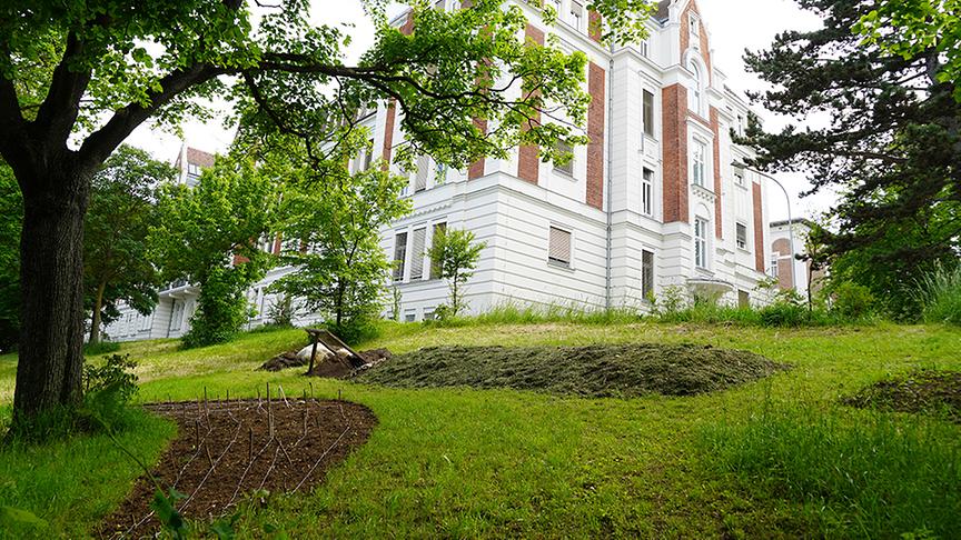© Foto: Leopold Mayrhofer/ Natur im Garten Karl erhält Einblick in den Therapiegarten des Krankenhaus Hietzing
