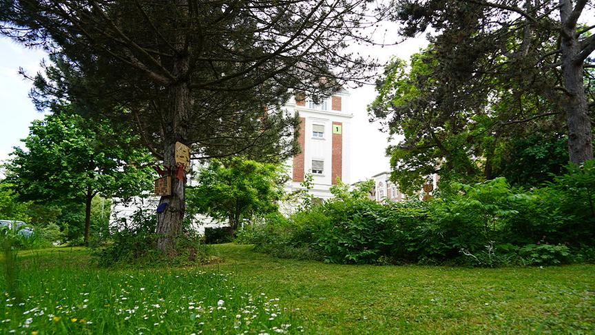 © Foto: Leopold Mayrhofer/ Natur im Garten Karl erhält Einblick in den Therapiegarten des Krankenhaus Hietzing