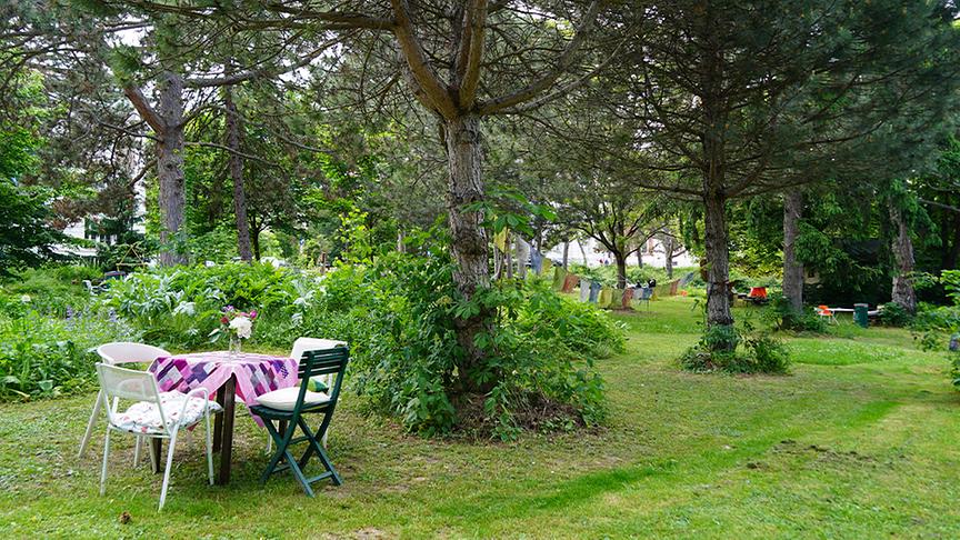 © Foto: Leopold Mayrhofer/ Natur im Garten Karl erhält Einblick in den Therapiegarten des Krankenhaus Hietzing