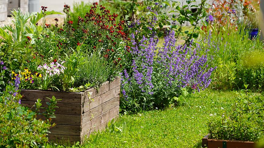© Foto: Leopold Mayrhofer/ Natur im Garten Karl erhält Einblick in den Therapiegarten des Krankenhaus Hietzing