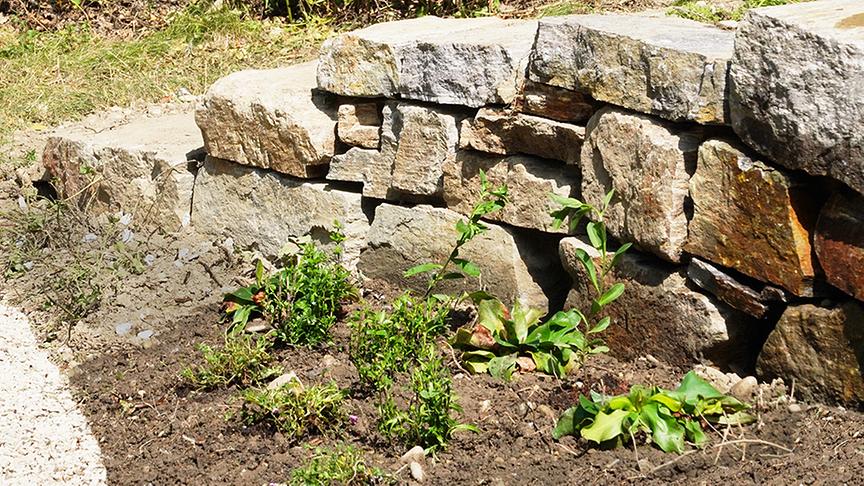Ein Bereich auf der Garten Tulln bekommt eine Trockensteinmauer.