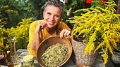 Uschi stellt die Goldrute vor