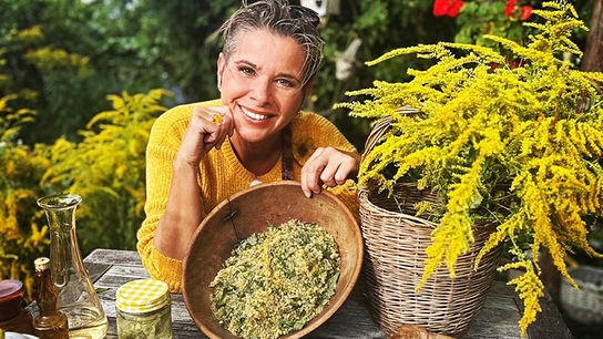 Uschi stellt die Goldrute vor