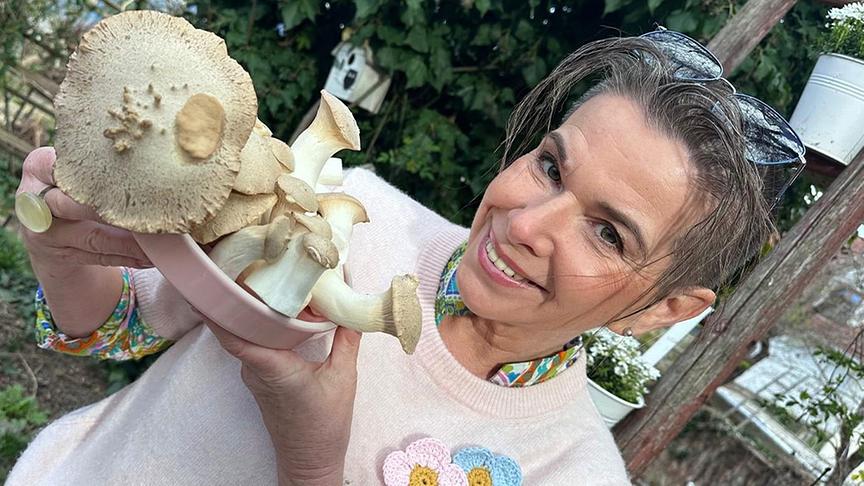 Uschi Zezelitsch zeigt, was man mit Kräuterseitlingen alles machen kann.