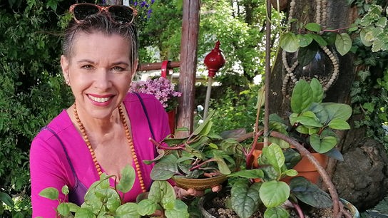 © Uschi Zezeltisch Uschi stellt den Malabarspinat vor