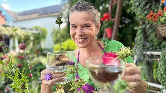 Uschi bäckt Kekse aus der Mariendistel