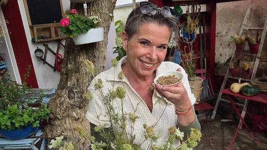 Uschi Zezelitsch stellt die Wilde Möhre vor.