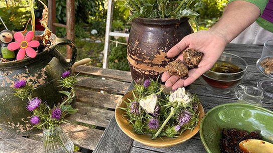 © Foto: Uschi Zezelitsch Uschis bäckt "Betthuperl"-Kekse mit Mariendistel-Samen