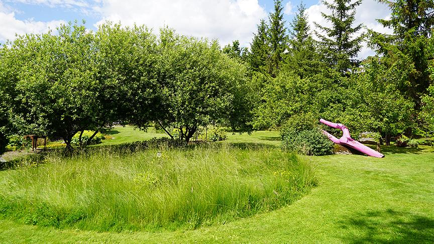 Im Waldgrundstück von Dagmar Scheucher