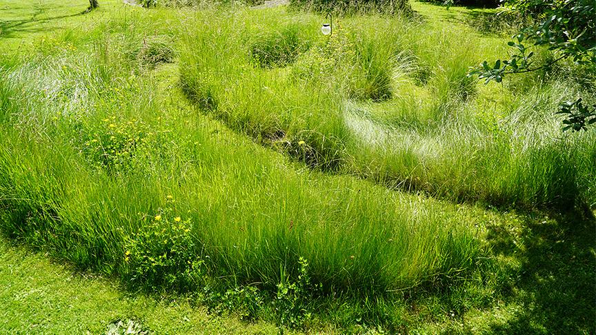 Im Waldgrundstück von Dagmar Scheucher
