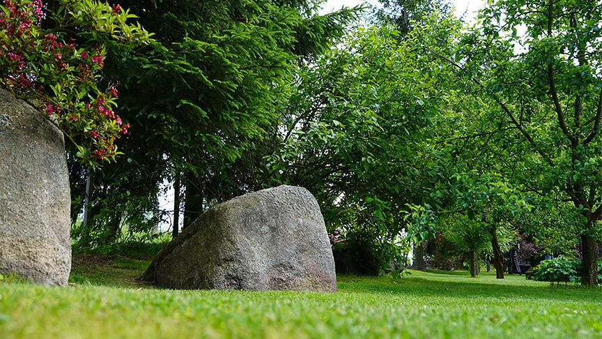 Im Waldgrundstück von Dagmar Scheucher