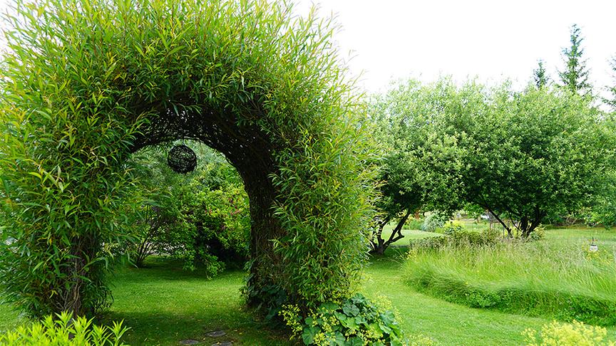 Im Waldgrundstück von Dagmar Scheucher