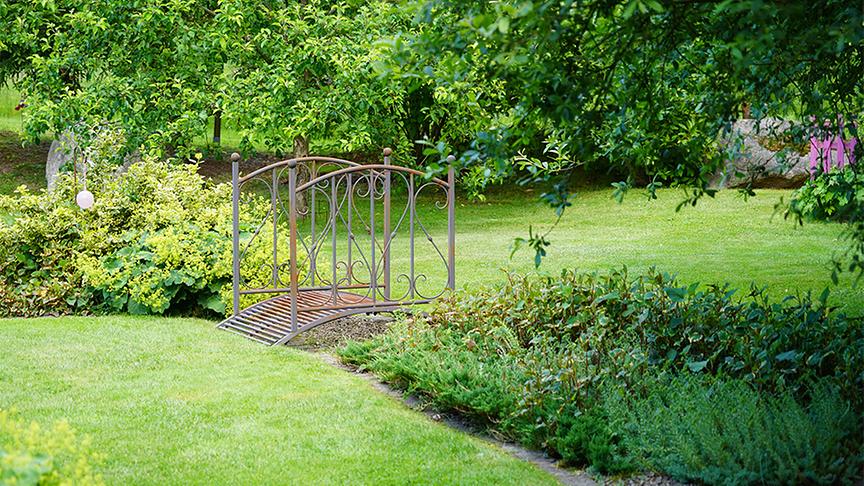 Im Waldgrundstück von Dagmar Scheucher