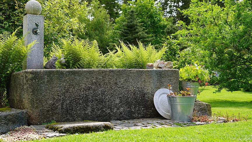 Im Waldgrundstück von Dagmar Scheucher