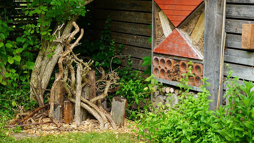Hier entsteht eine Ecke mit Nisthilfen für Wildbienen und Käfer.