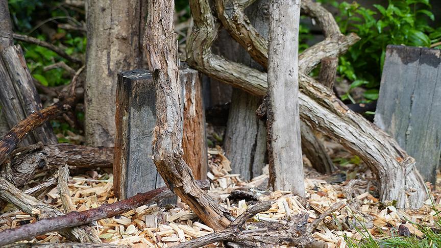 © Natur im Garten/ Leopold Mayrhofer Hier entsteht eine Ecke mit Nisthilfen für Wildbienen und Käfer.
