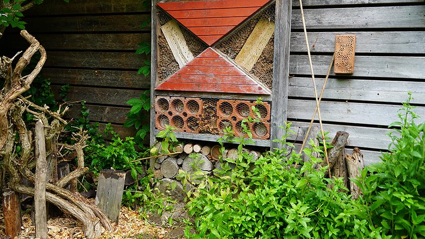 © Natur im Garten/ Leopold Mayrhofer Hier entsteht eine Ecke mit Nisthilfen für Wildbienen und Käfer.