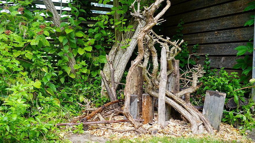 © Natur im Garten/ Leopold Mayrhofer Hier entsteht eine Ecke mit Nisthilfen für Wildbienen und Käfer.