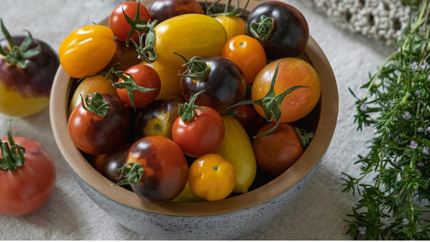 Eine Schale bunter Tomaten.