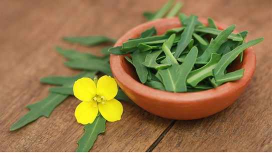 Rucola in und neben einer kleinen Holzschüssel, dekoriert mit einer einzelnen, gelben Rucolablüte.