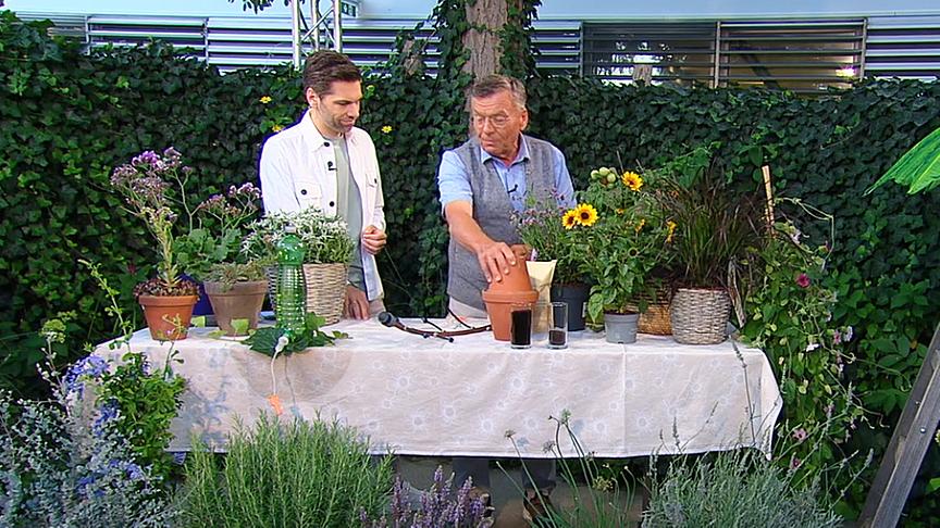 Moderator Philipp Maschl und Gärtnermeister Reinhard Kittenberger