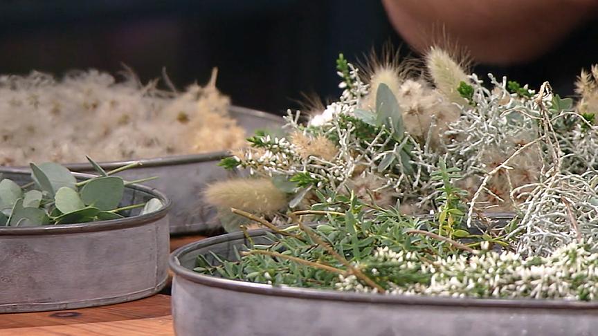 Silberdraht (Topfpflanze), weiße Besenheide, Eukalyptus und Blüten der Gemeinen Waldrebe.