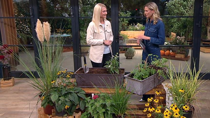 © ORF Gartengestalterin Katharina Gabesam-Rasner im Gespräch mit "Studio 2"-Moderatorin Verena Hartlieb.