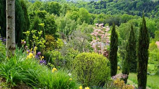 © ORF/Talk TV/Natur im Garten/Leopold Mayrhofer Im Bild: Steiermark: Gastgarten von Bernhard Strohmaier in St. Margareten a.d. Raab.