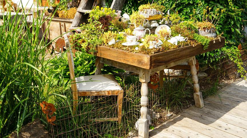 © ORF/Talk TV/Natur im Garten/Leopold Mayrhofer Im Bild: Salzburg: Gastgarten von Elke Riedlsperger in Leogang.
