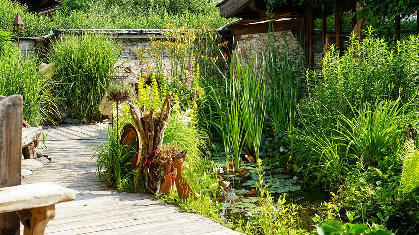 © ORF/Talk TV/Natur im Garten/Leopold Mayrhofer Im Bild: Salzburg: Gastgarten von Elke Riedlsperger in Leogang.