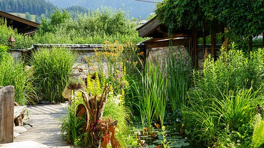 © ORF/Talk TV/Natur im Garten/Leopold Mayrhofer Im Bild: Salzburg: Gastgarten von Elke Riedlsperger in Leogang.