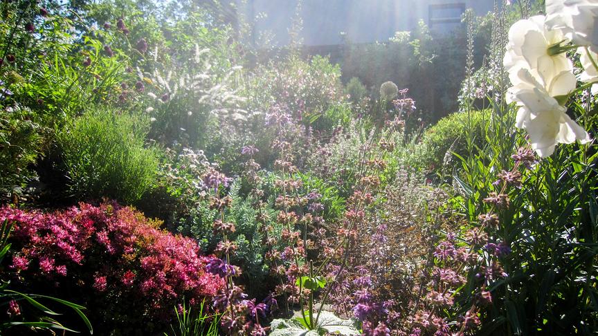 Im Bild: Vorarlberg: Gastgarten von Irmgard und Ewald Hensler in Klaus.