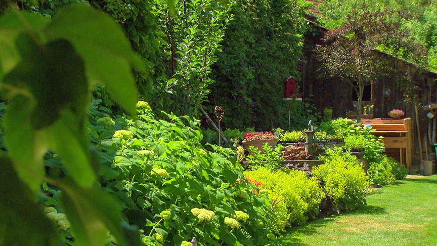 Im Bild: Niederösterreich: Gastgarten von Brigitte Parbus in Wolfpassing.