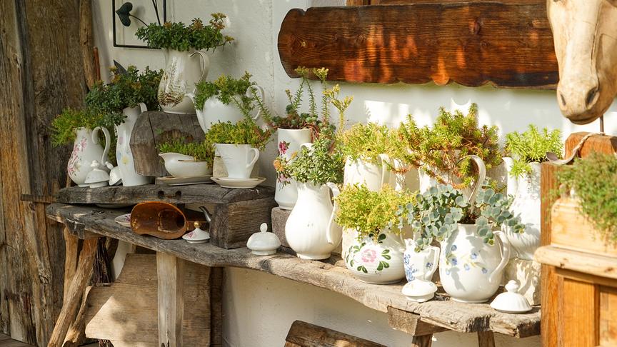 Im Bild: Salzburg: Gastgarten von Elke Riedlsperger in Leogang.