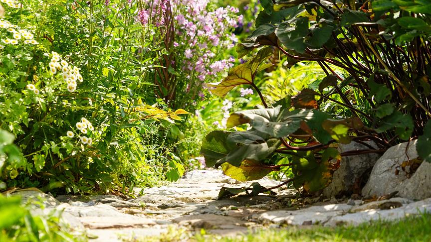 Im Bild: Salzburg: Gastgarten von Elke Riedlsperger in Leogang.