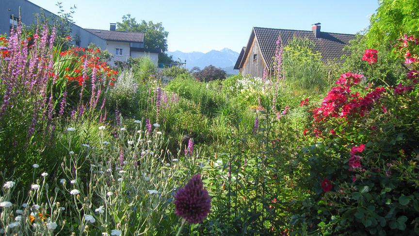 Im Bild: Vorarlberg: Gastgarten von Irmgard und Ewald Hensler in Klaus.