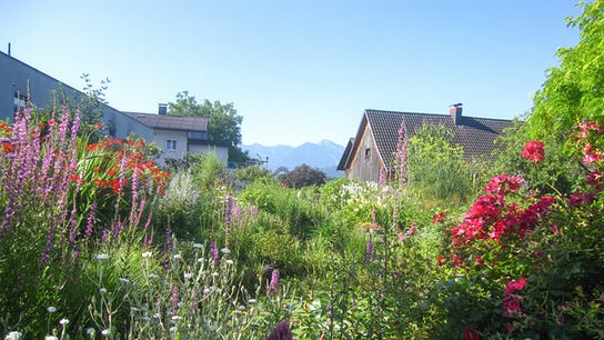 © ORF/Talk TV/Natur im Garten/Herbert Jeitler Im Bild: Vorarlberg: Gastgarten von Irmgard und Ewald Hensler in Klaus.