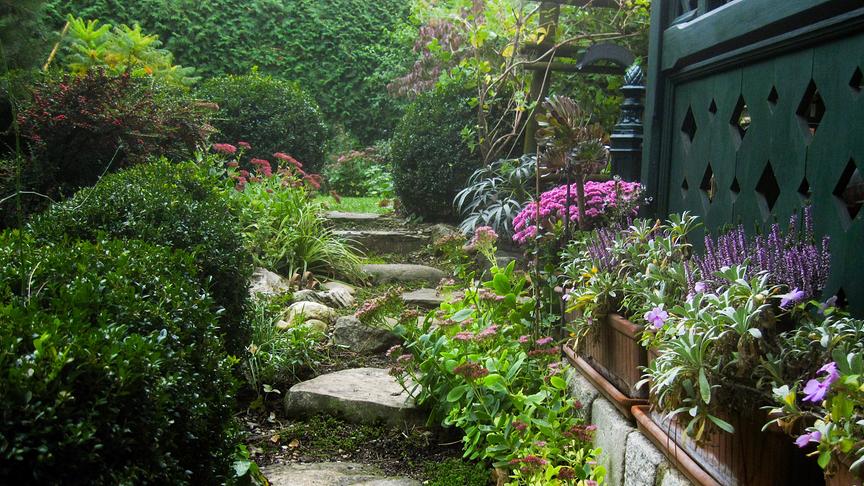 Im Bild: Wien: Gastgarten von Christa Velechovsky.