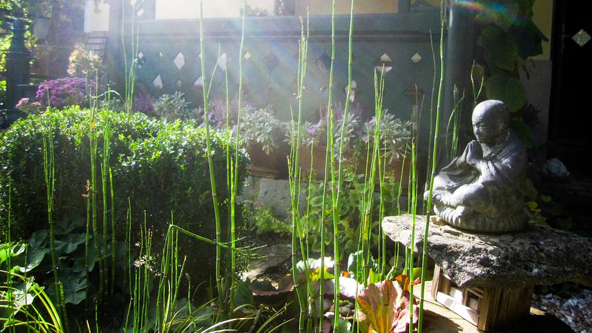 Im Bild: Wien: Gastgarten von Christa Velechovsky.