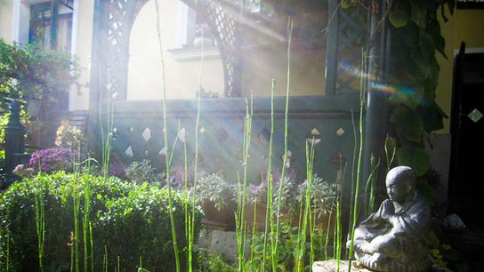 © ORF/Talk TV/Natur im Garten/Leopold Mayrhofer Im Bild: Wien: Gastgarten von Christa Velechovsky.